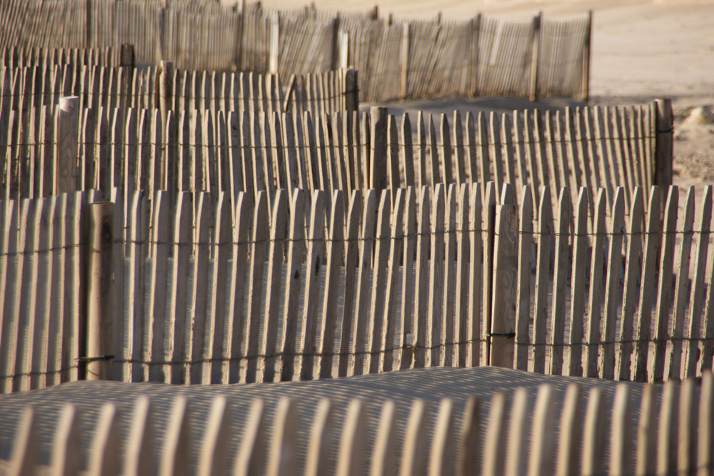 une plage en hiver