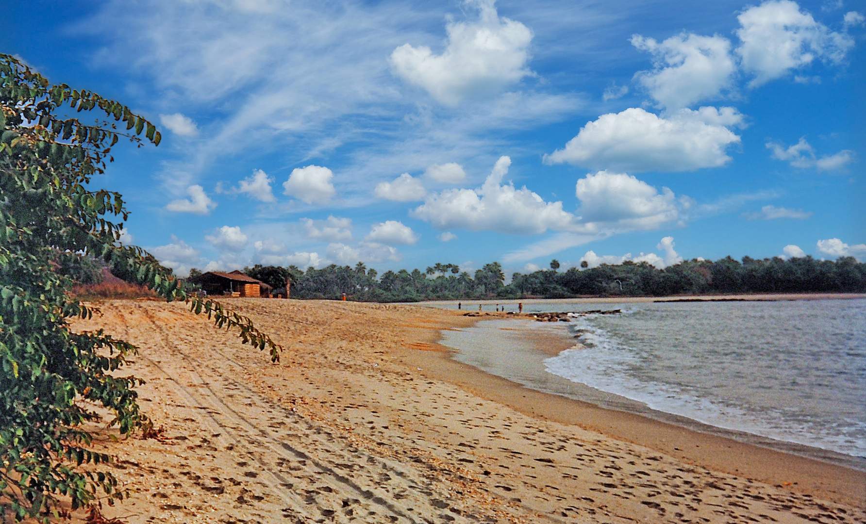 Une plage guinéenne