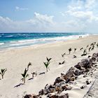 Une plage infinie pour s'y promener les pieds dans l'eau