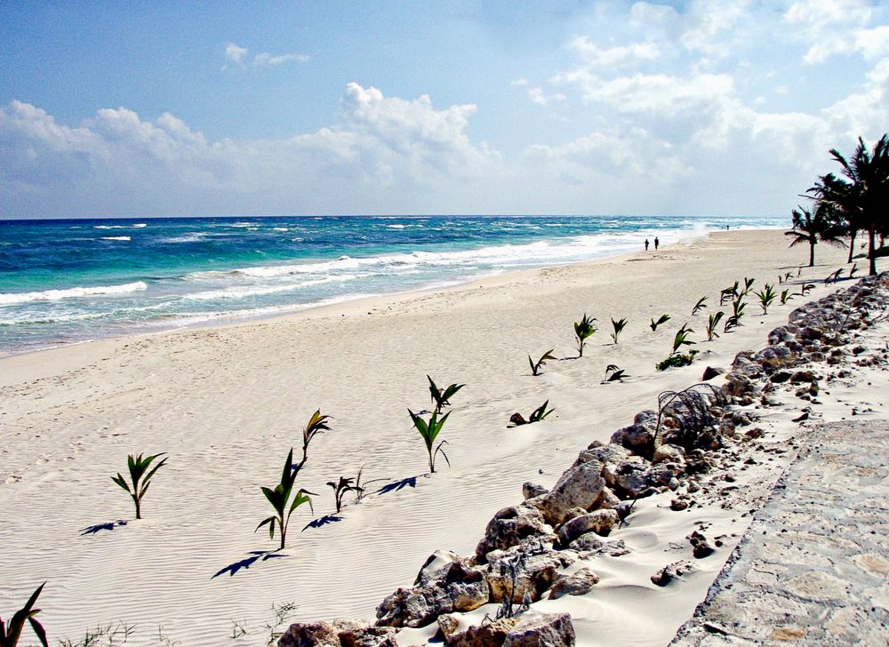 Une plage infinie pour s'y promener les pieds dans l'eau