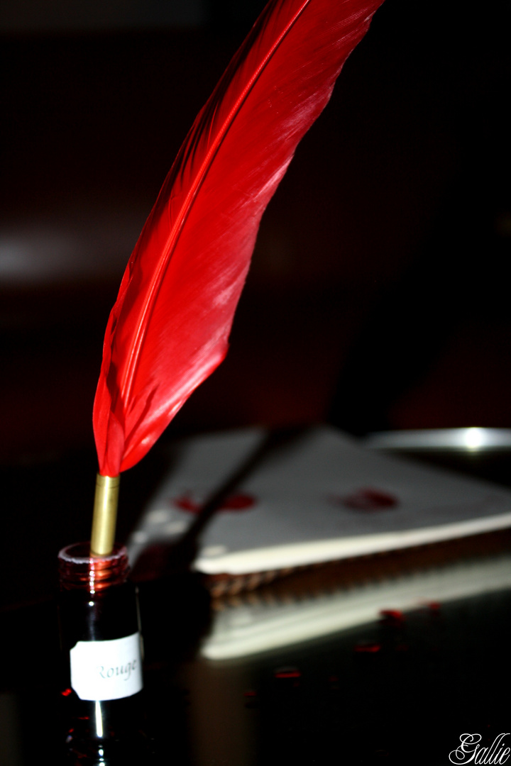 Une plume et de l