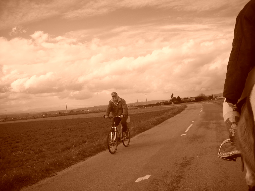 Une promenade dans les chemins de campagne