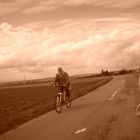 Une promenade dans les chemins de campagne