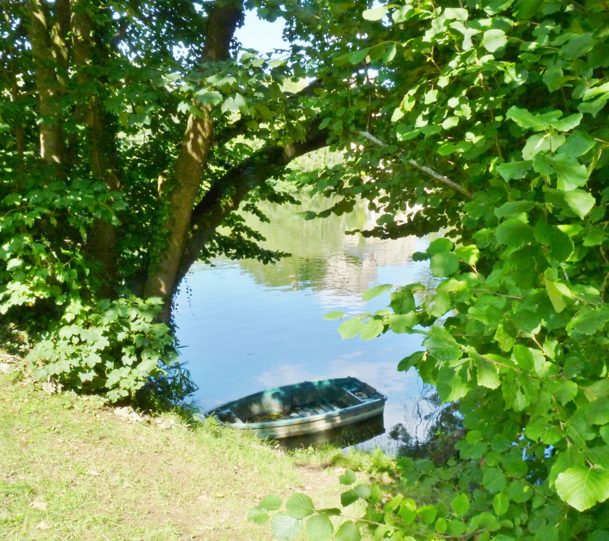 Une promenade en bord de Sarthe