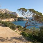 Une promenade en fin d'après-midi