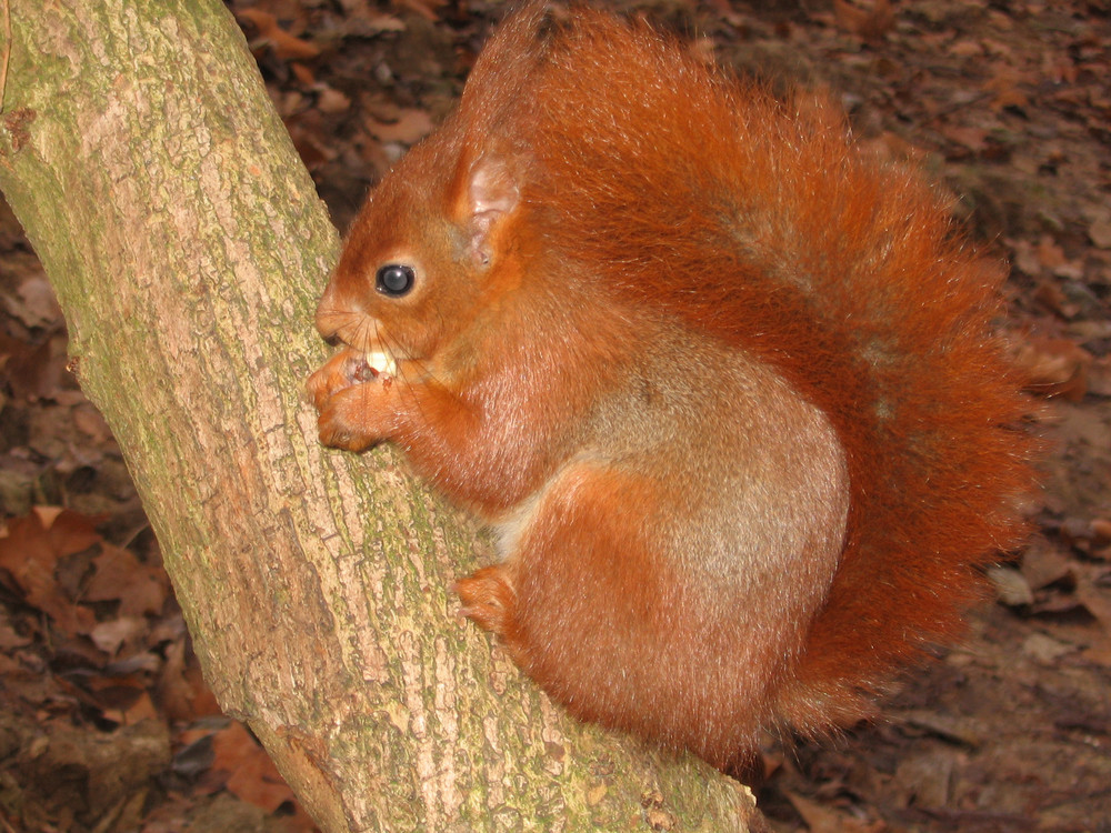 Une rencontre au parc de Sceaux