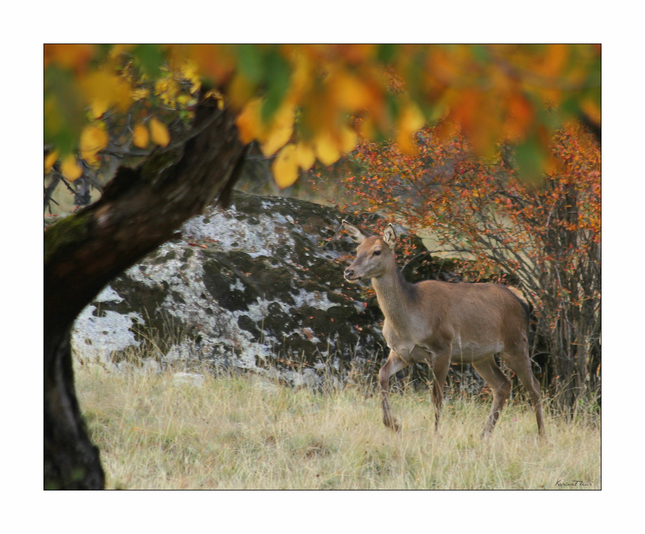 Une rencontre