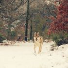 une rencontre innatendu