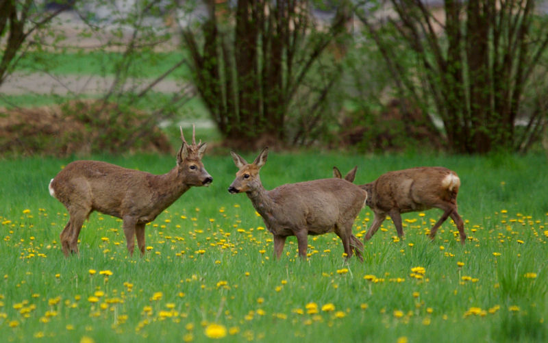 une rencontre sympa a 19h50