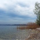 Une rive préservée du lac de Garde à Manerba