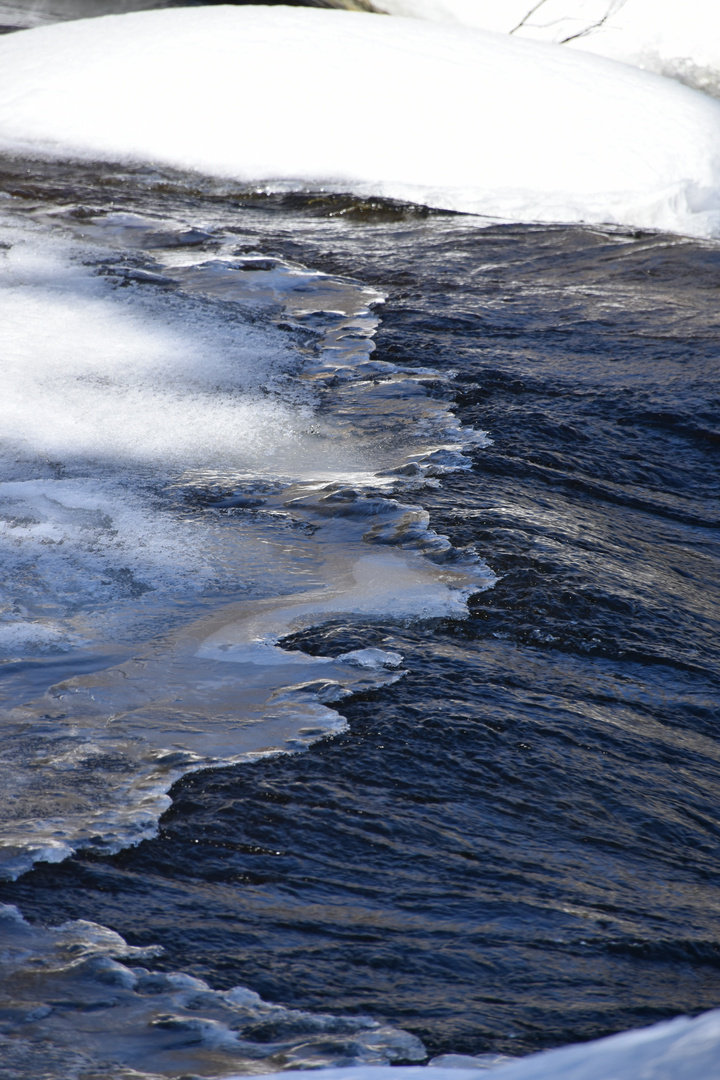 Une rivière au printemps