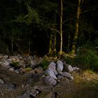 Une rivière du Wildenstein, la nuit