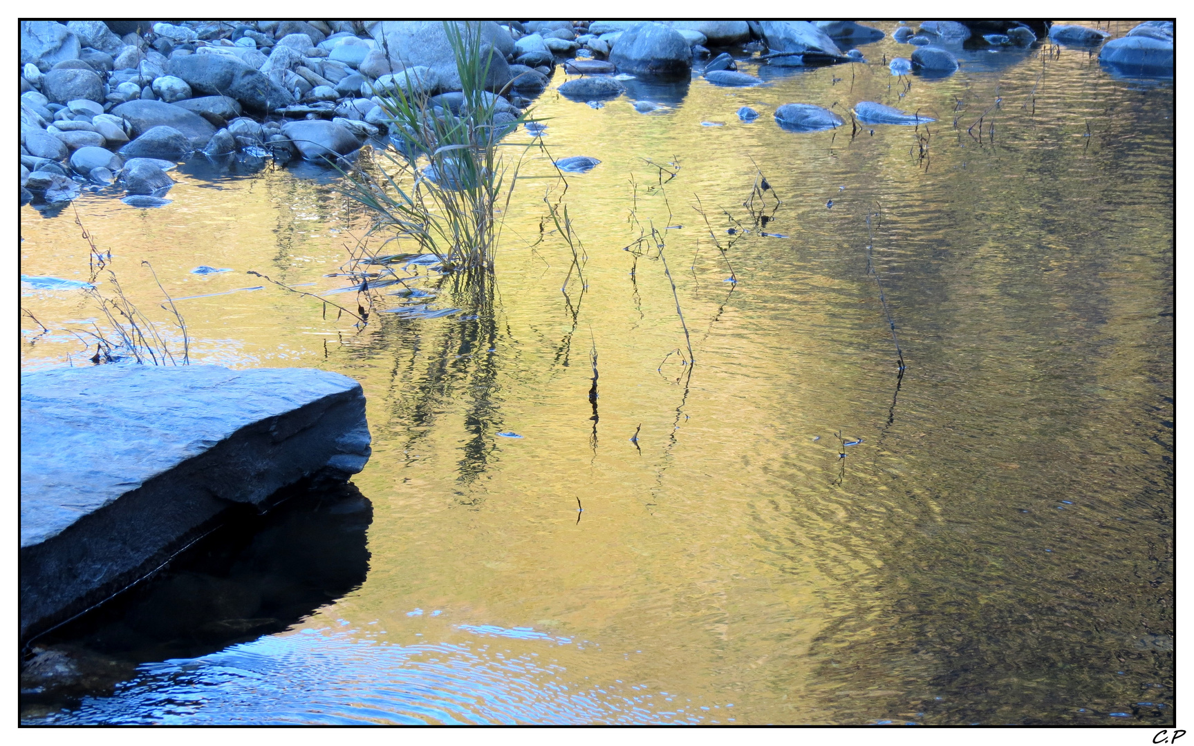 Une rivière en or