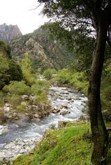 Une rivière torrentielle