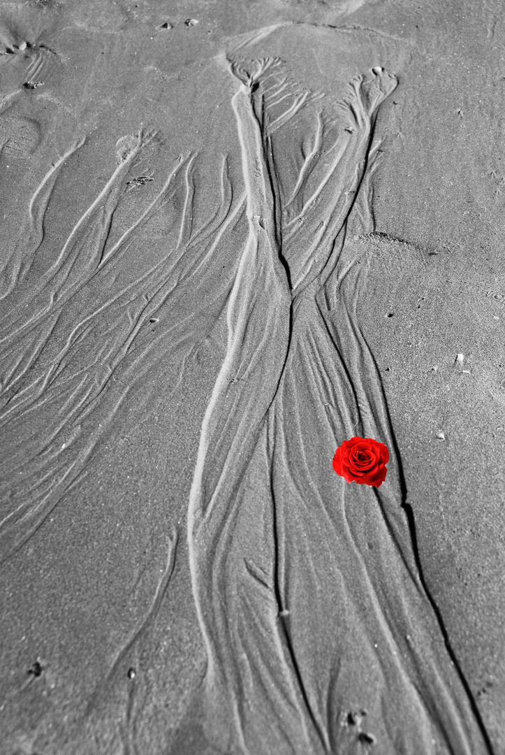 Une robe dessinée par l'eau sur le sable