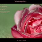 une rose pensée ...