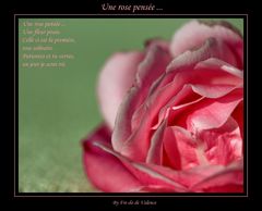 une rose pensée ...