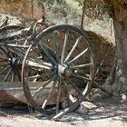 une roue de charette...irgend wo auf Mallorca