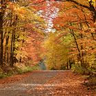 Une route de campagne en automne