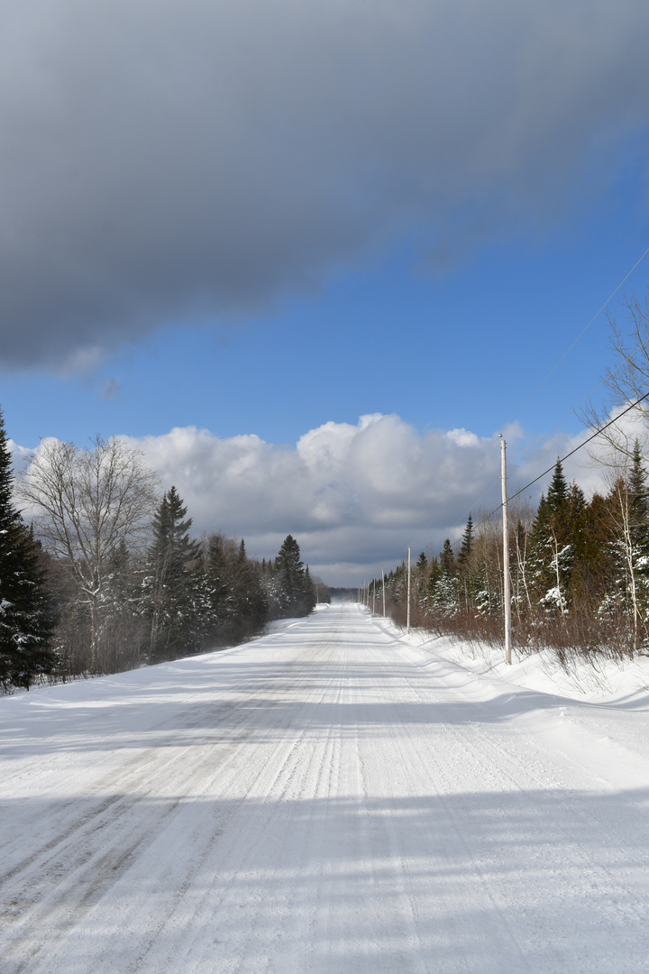 Une route de campagne en hiver