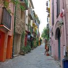 une rue de Collioure