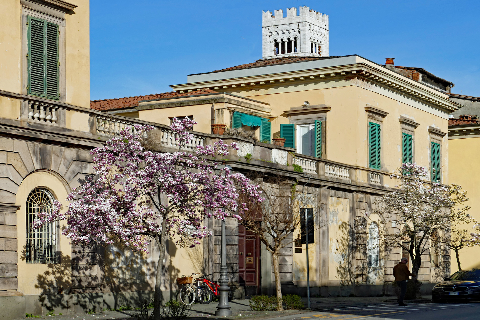 une rue lors d un printemps precoce....