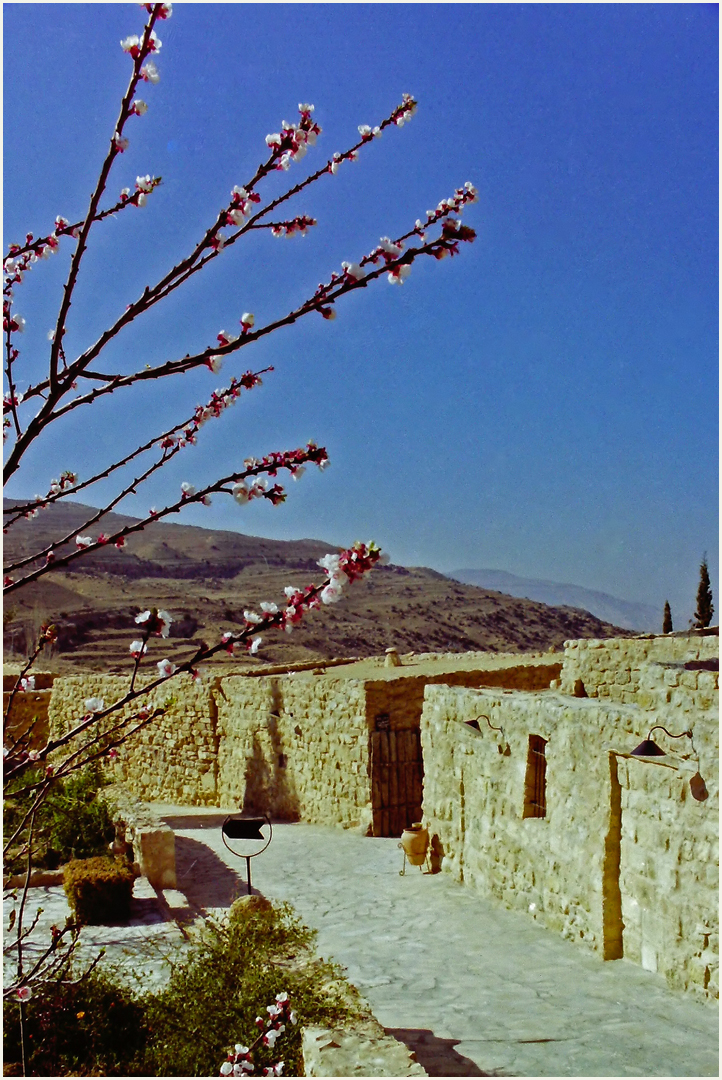 Une ruelle (couloir) de l‘Hôtel Taybet Zaman au printemps