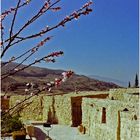 Une ruelle (couloir) de l‘Hôtel Taybet Zaman au printemps