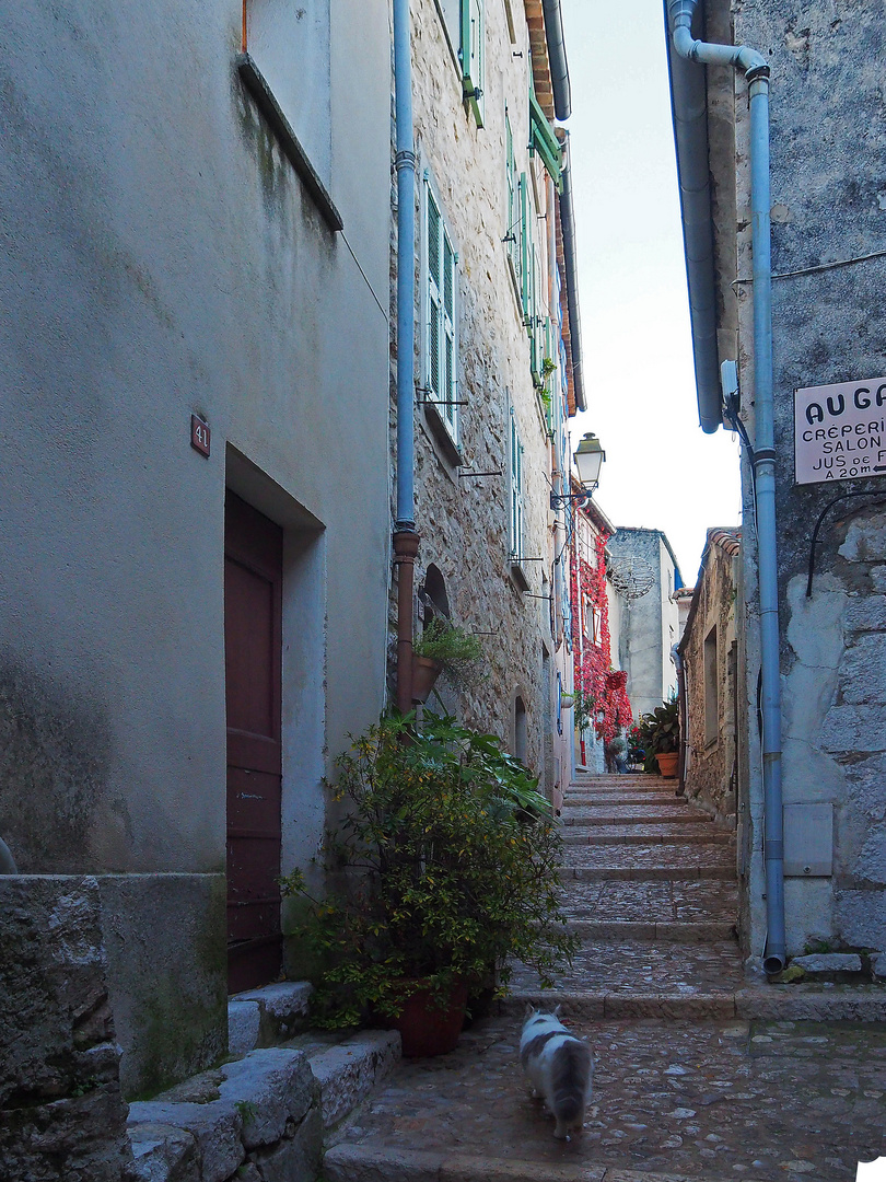 Une ruelle de Sainte-Agnès  