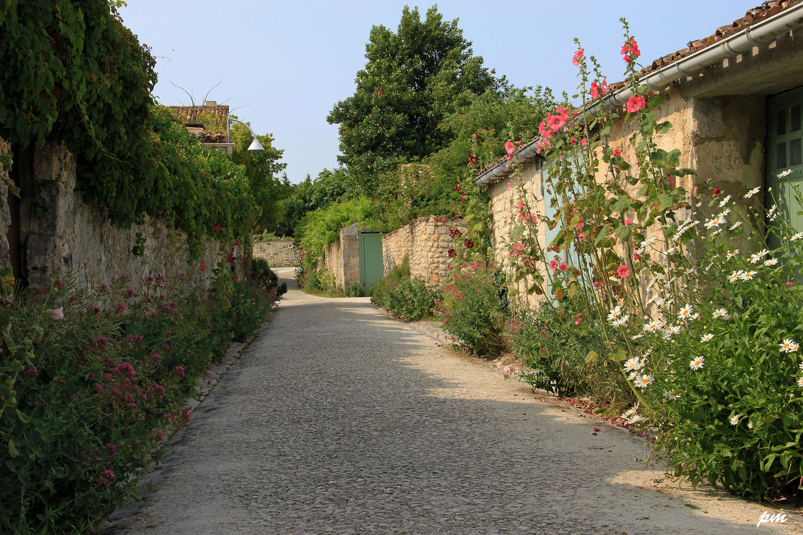 Une ruelle de Talmont sur gironde