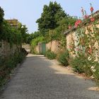 Une ruelle de Talmont sur gironde