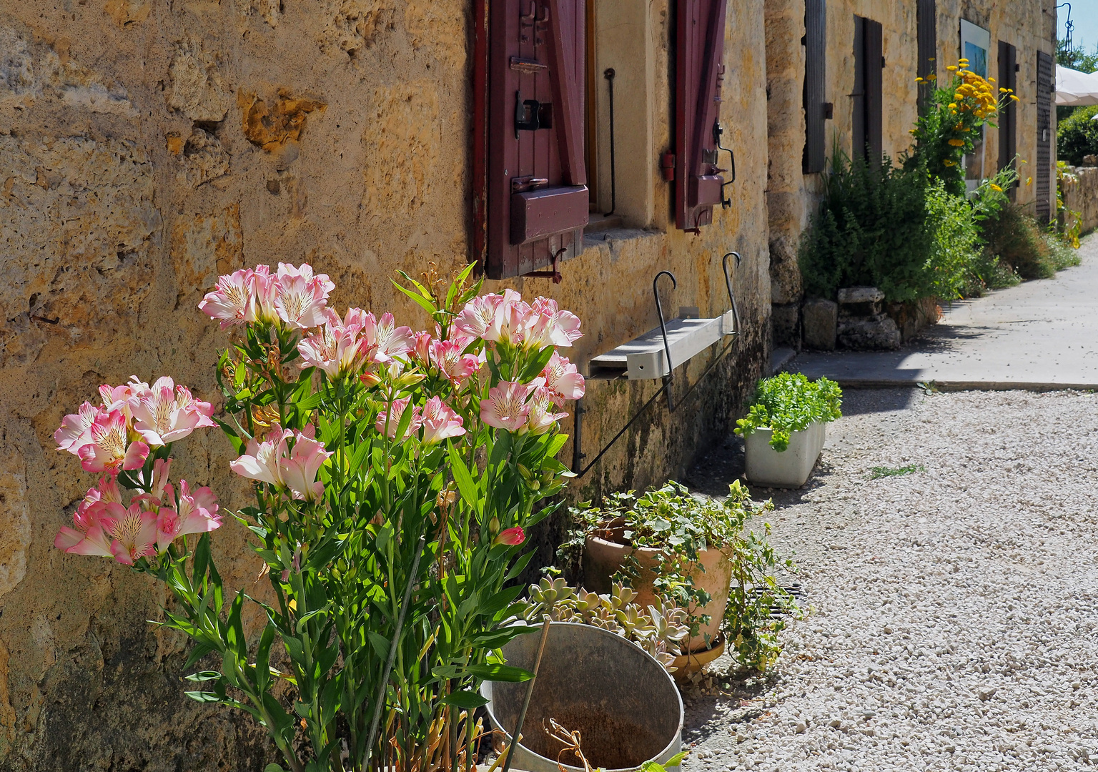 Une ruelle fleurie à Larressingle