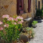 Une ruelle fleurie à Larressingle