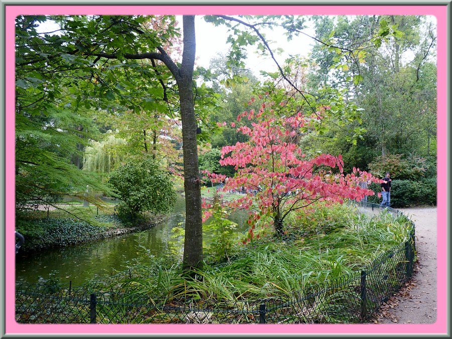 Une seconde photo du jardin des Plantes du Mans