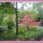 Une seconde photo du jardin des Plantes du Mans