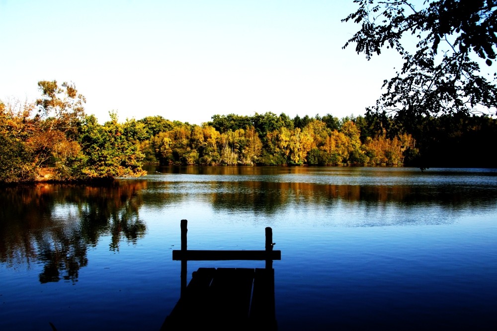 une simple journée d'automne