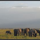 Une soirée à Amboseli