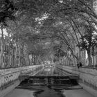 Une soirée à Nimes