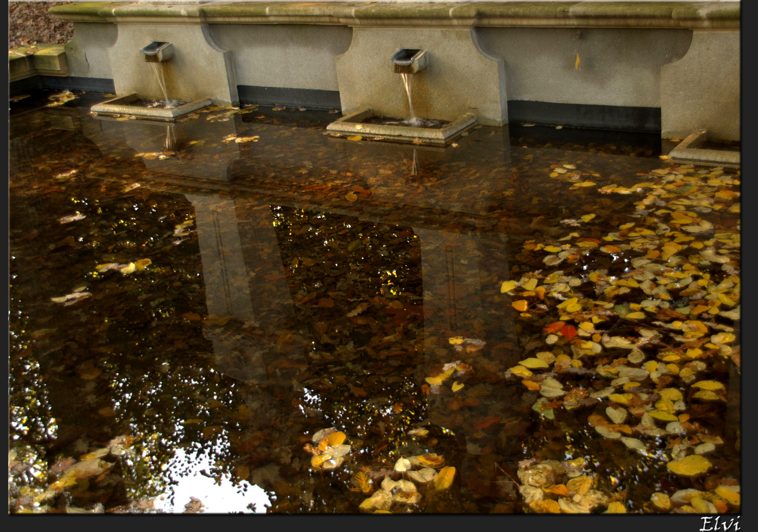 Une soupe de feuilles