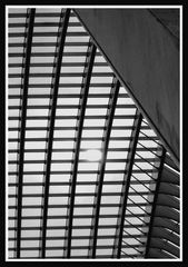UNE TIMIDE APPARITION