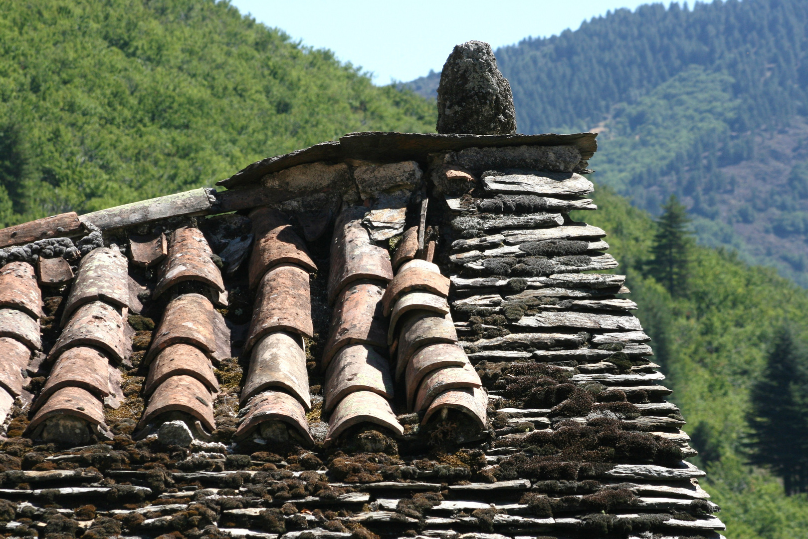 Une toiture typiquement cévenole