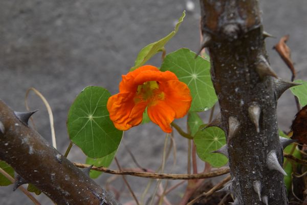 Une touche de couleurs