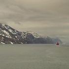 une touche de rouge dans un monde de gris....