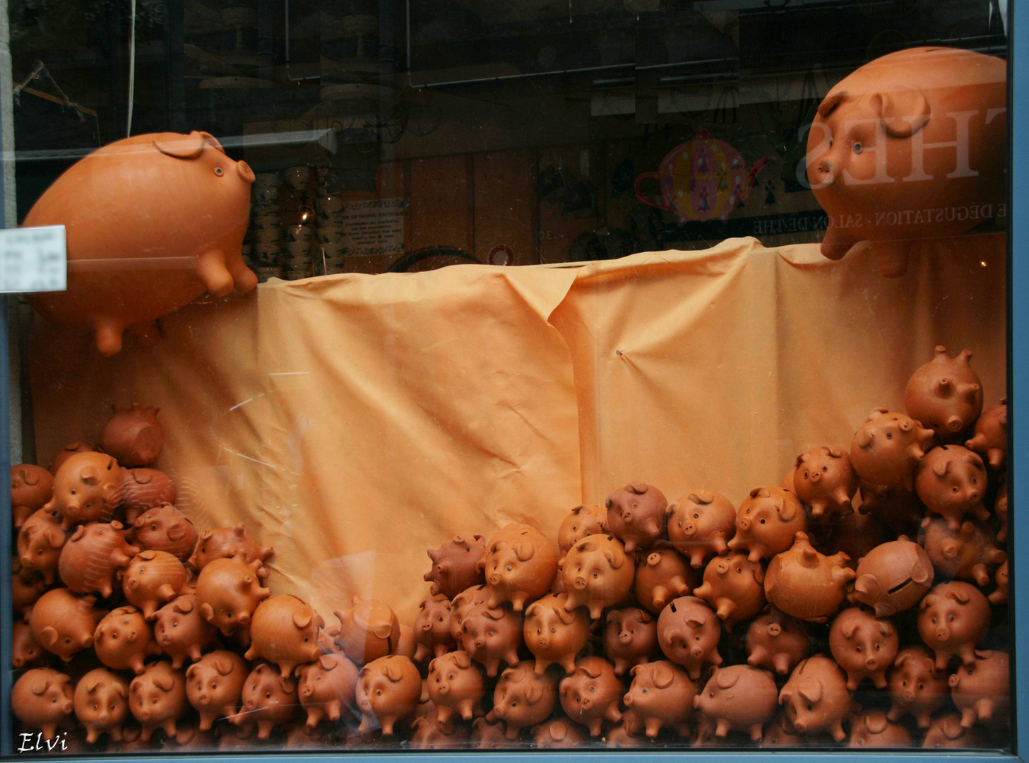 Une vitrine très cochonne !