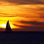 Une voile au coucher du soleil  --  Nouméa  --  Ein Segel beim Sonnenuntergang