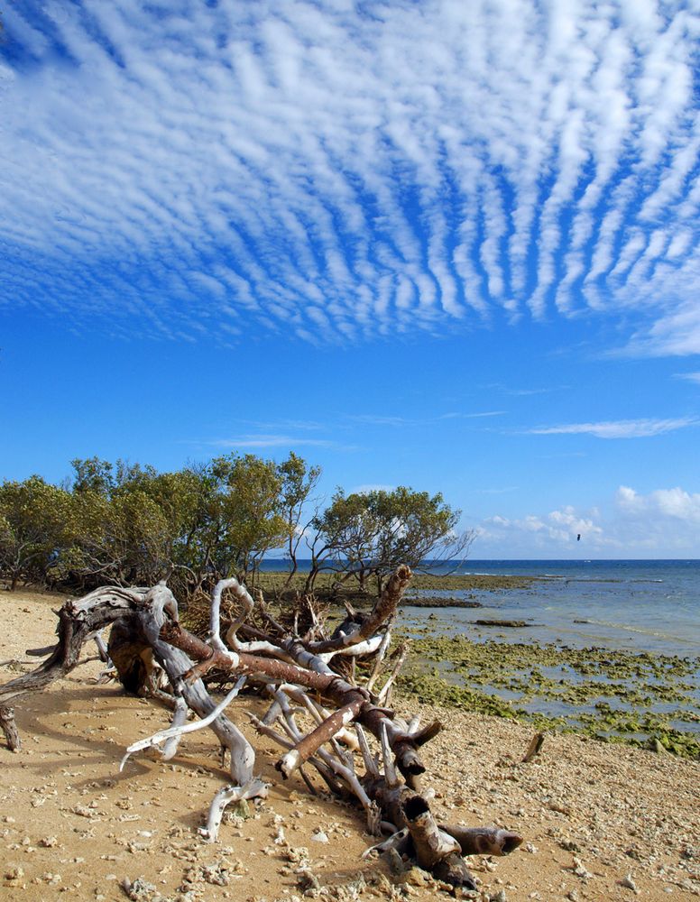 Une vue de la plage à l’Îlot Canards  - Nouméa  -  Eine Sicht von dem Strand an der « Enteninsel »