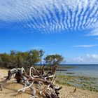 Une vue de la plage à l’Îlot Canards  - Nouméa  -  Eine Sicht von dem Strand an der « Enteninsel »