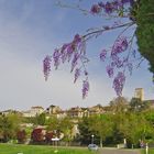   Une vue de Lectoure au printemps