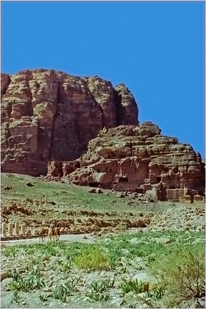 Une vue de Petra au printemps