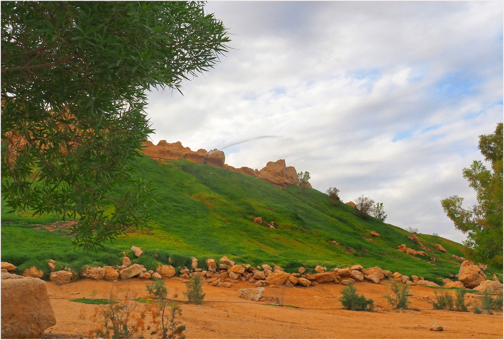 Une vue du parc Green Mubazzarah